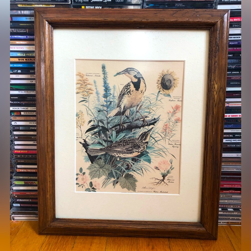 Vintage Arthur Singer ‘Meadowlark’ Print
